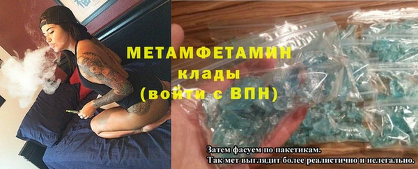 ПСИЛОЦИБИНОВЫЕ ГРИБЫ Осинники