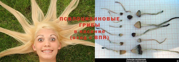 скорость Арсеньев
