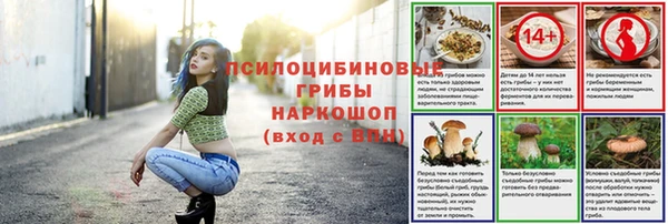 скорость Арсеньев