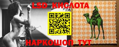 спиды Канаш