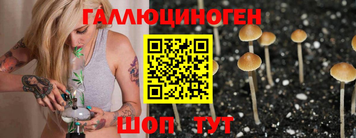 Галлюциногенные грибы Psilocybe  сколько стоит  Вход с VPN  Кубинка  Галлюциногенные грибы мухоморы 